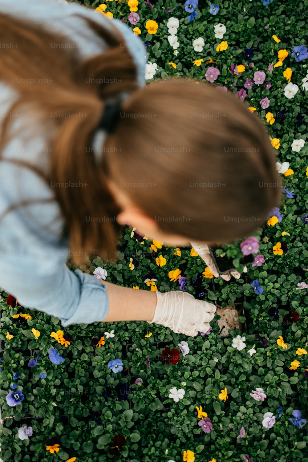 Giovane donna adulta felice e positiva che lavora in serra e si diverte in bellissimi fiori.