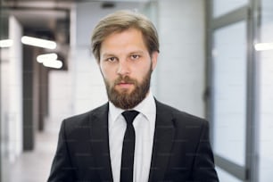 Close up face portrait of young handsome focused business man, boss or ceo, wearing black suit and tie, looking at camera, standing on the background of modern light office corridor.