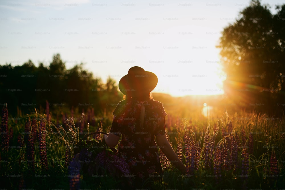 田園地帯の夕焼けの光にルピナスを集めるおしゃれな女性のシルエット。静寂に包まれたひととき。野生の花を集め、夏の牧草地でリラックスする若い女性