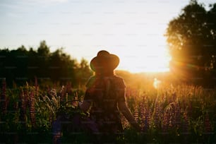 Silhouette of stylish woman gathering lupine in sunset light in countryside field. Tranquil atmospheric moment. Young female gathering wildflowers and relaxing in summer meadow