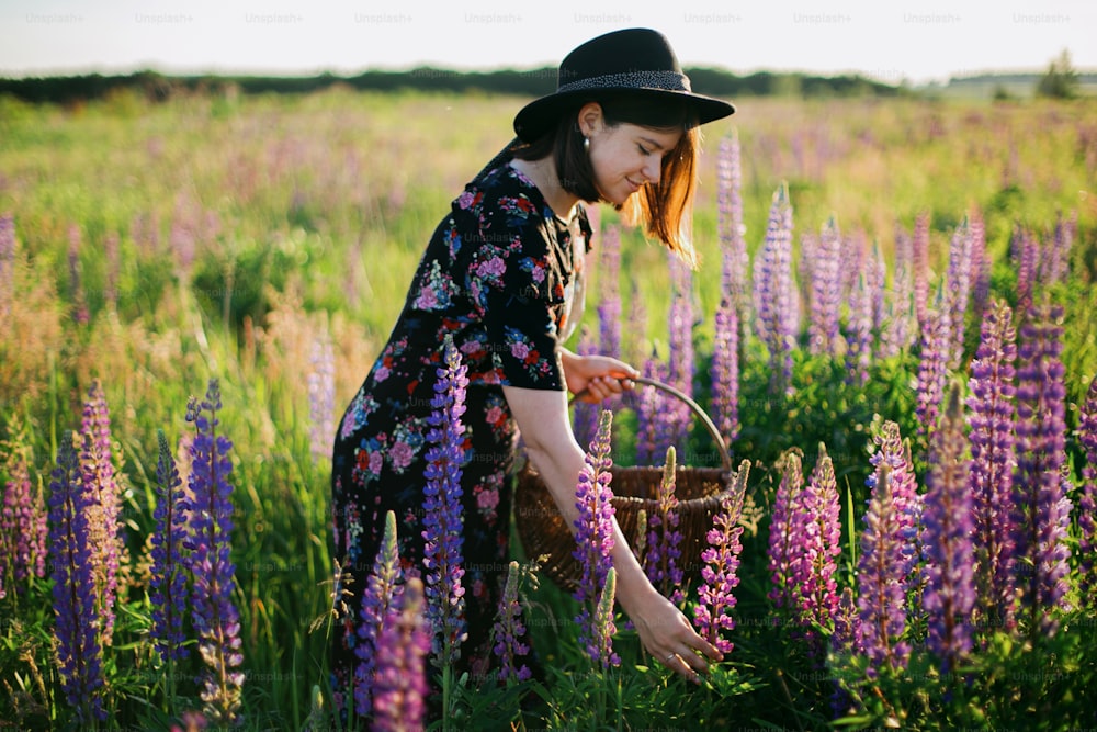 Beautiful woman gathering lupine in wicker rustic basket in sunny field. Stylish young female in vintage floral dress and hat relaxing in summer meadow in countryside