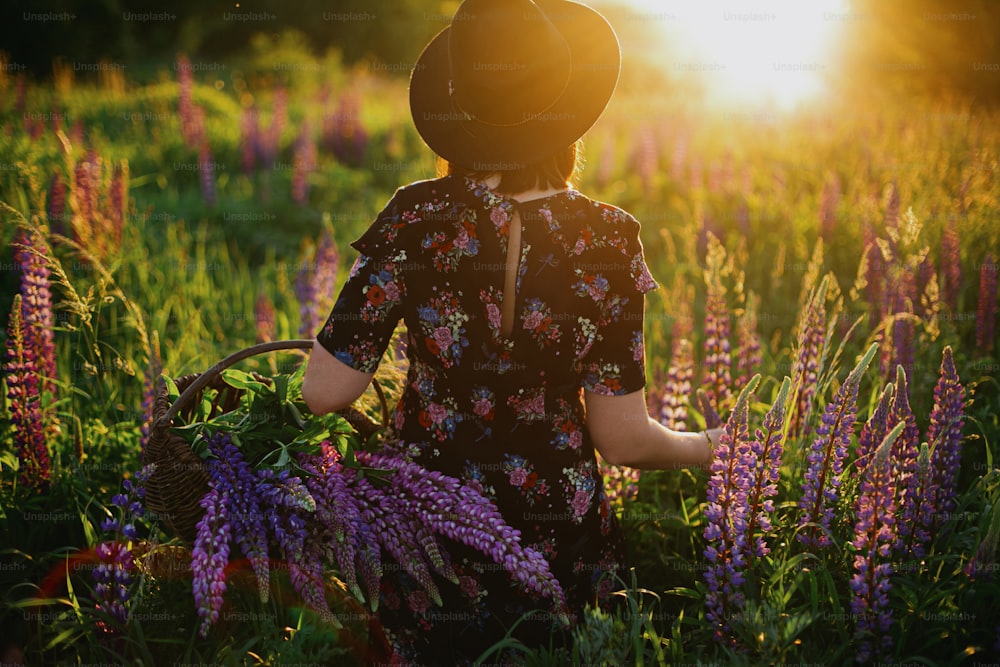 Schöne stilvolle Frau sammelt Lupine in Weidenkorb rustikalen Korb in sonnigem Feld. Ruhiger atmosphärischer Moment. Junge Frau in Vintage-Blumenkleid und Hut entspannt sich auf Sommerwiese auf dem Land
