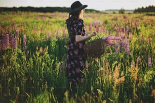 Beautiful stylish woman gathering lupine in wicker rustic basket in sunny field. Tranquil atmospheric moment. Young female in vintage floral dress and hat relaxing in summer meadow in countryside