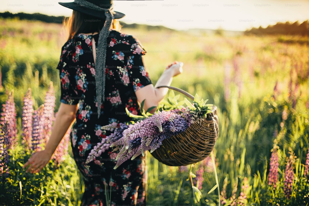 Beautiful stylish woman walking in sunny lupine field, focus on wicker rustic basket with flowers. Tranquil atmospheric moment. Young female gathering flowers in summer countryside