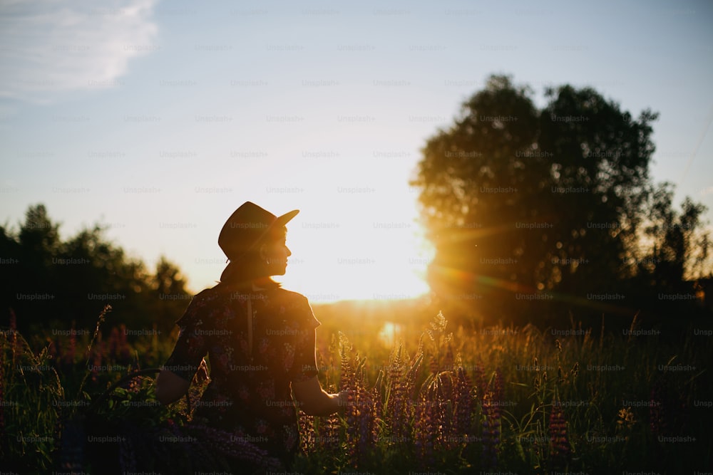 Silhouette of stylish woman relaxing in lupine field in sunset light. Tranquil atmospheric moment. Young female relaxing among wildflowers in summer countryside meadow