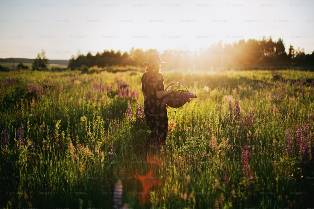 Beautiful stylish woman walking in sunny lupine field with wicker rustic basket and flowers. Tranquil atmospheric moment. Young female gathering wildflowers in summer countryside at sunset