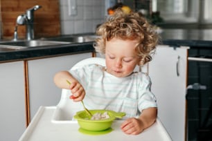 Cute adorable Caucasian curly kid boy sitting in high chair eating cereal puree with spoon. Healthy eating for kids children. Toddler eating independently. Candid real authentic moment.