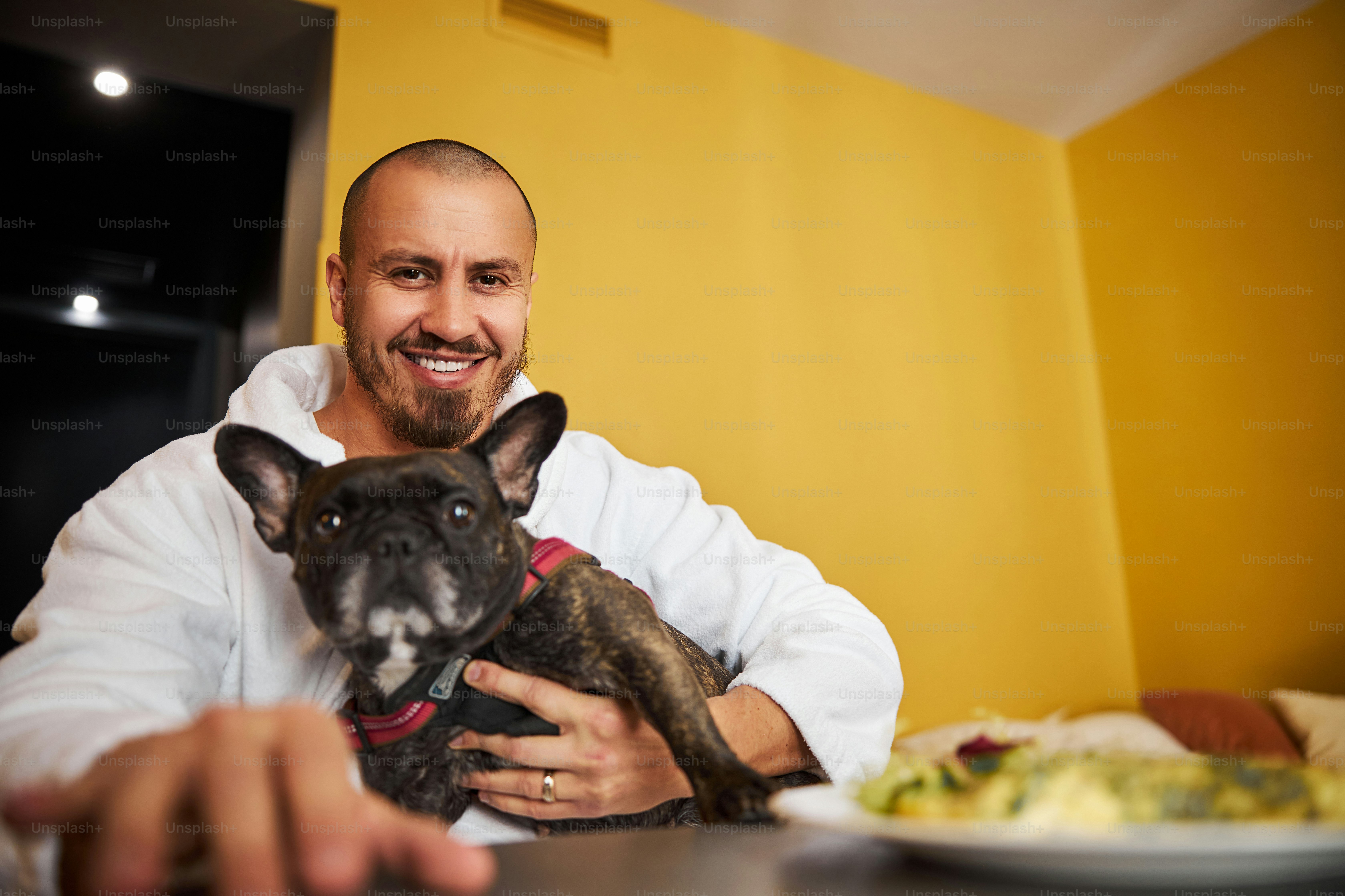 Smiling pleased male in a terry bathrobe and his calm canine friend sitting at the table in a hotel room