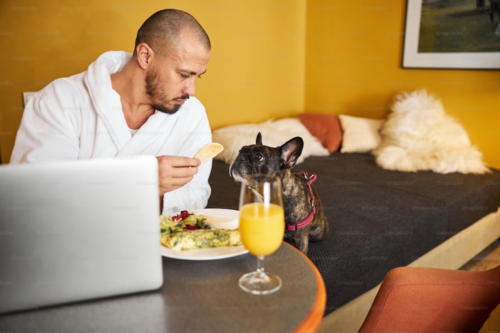 Serious guy in a terry bathrobe holding a piece of toasted bread in front of his dog