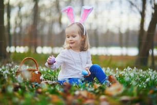 Girl wearing bunny ears playing egg hunt on Easter. Toddler sitting on the grass with many snowdrop flowers and gathering colorful eggs in basket. Little kid celebrating Easter outdoors