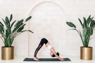 Health and flexibility body concept. Sporty african american woman training on yoga class alone, standing on exercise mat in sport club, doing asana, breathe into a stretch position