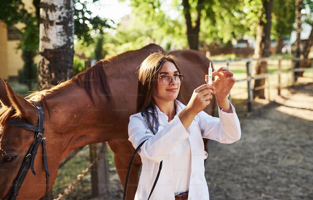Mira la jeringa. Veterinaria examinando caballo al aire libre en la granja durante el día.