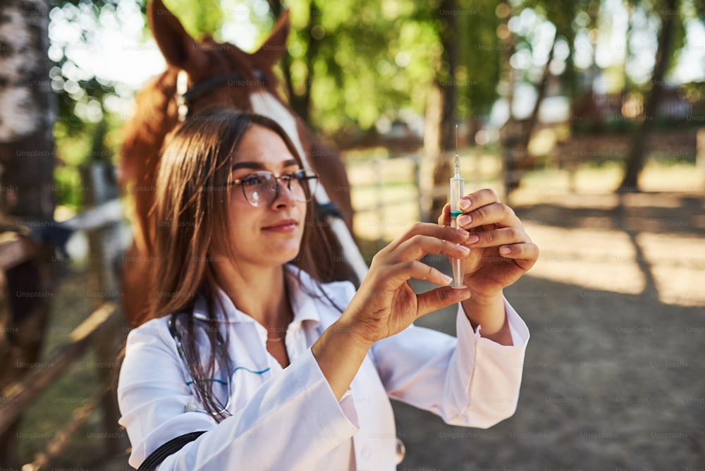 注射器を見る。昼間、牧場の屋外で馬を診察する女性獣医。