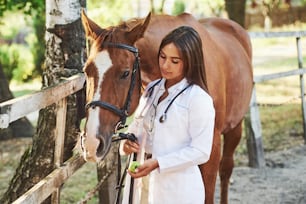 Feeding by apple. Female vet examining horse outdoors at the farm at daytime.