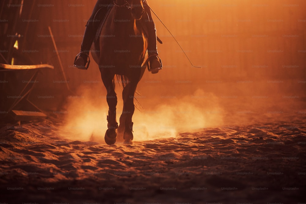 Imagem majestosa da silhueta do cavalo com o cavaleiro no fundo do pôr do sol.