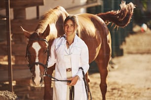 Beautiful sunlight. Female vet examining horse outdoors at the farm at daytime.