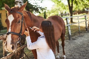 Fai un'iniezione. Veterinario femmina che esamina il cavallo all'aperto presso la fattoria durante il giorno.