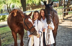 Alimentazione con mele. Due veterinarie che esaminano il cavallo all'aperto nella fattoria durante il giorno.