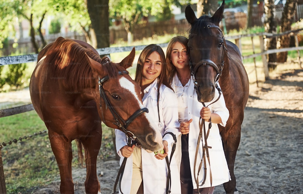 りんごで餌をやる。昼間、牧場の屋外で馬を診察する2人の女性獣医。