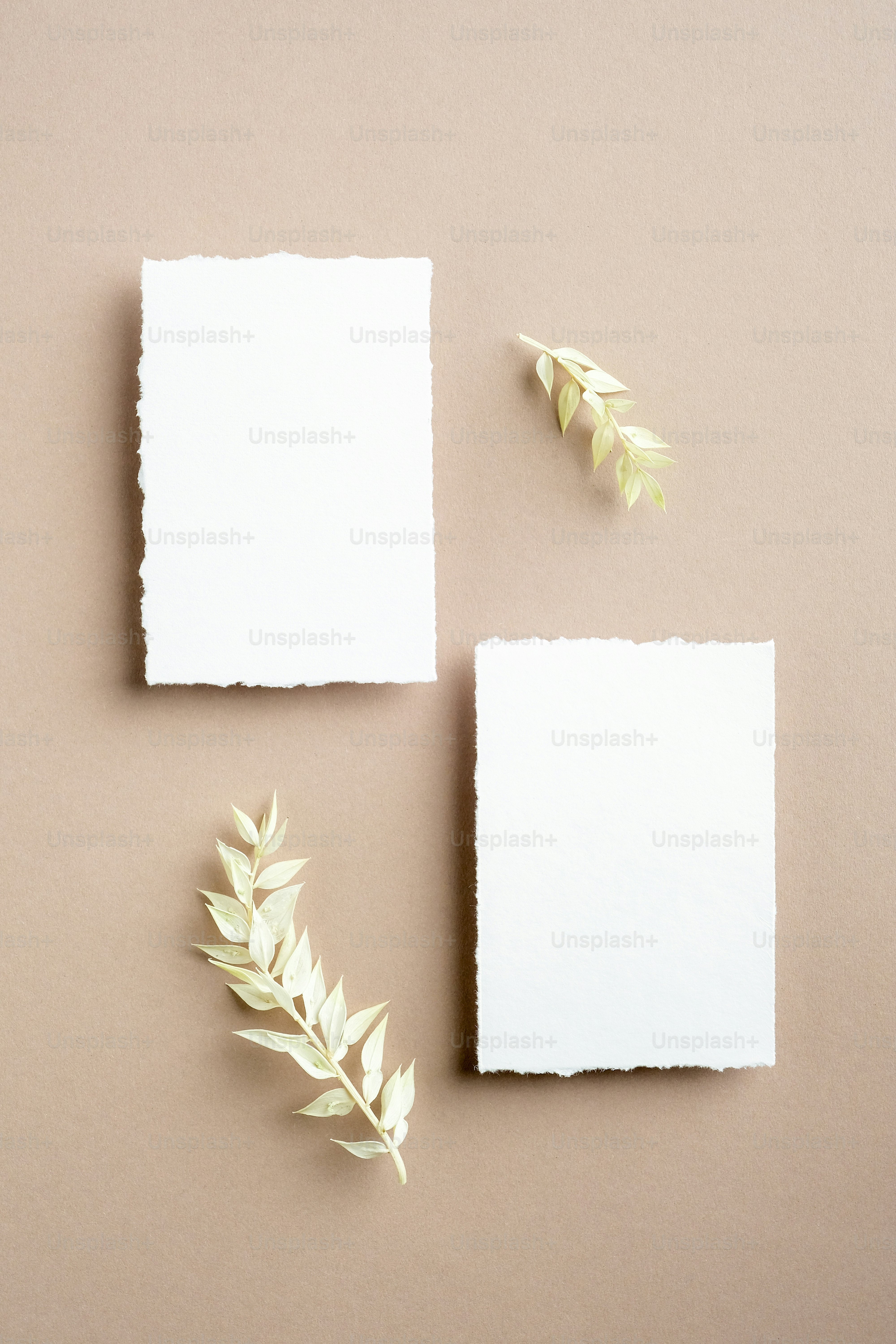 Imágenes de Tarjeta De Invitación De Boda | Descarga imágenes gratuitas en  Unsplash, image size:3000x4500