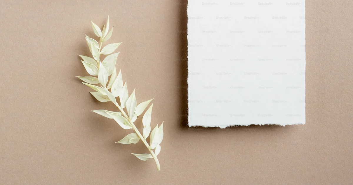 Buste di invito in carta kraft per matrimoni, feste, compleanni, baby shower, 100 pezzi, 12,7 x 17,8 cm, biglietti di auguri, biglietti di ringraziamento, biglietti per ufficio, casa, generale Buste di invito in carta kraft per matrimoni, feste, compleanni, baby shower, 100 pezzi, 12,7 x 17,8 cm, biglietti di auguri, biglietti di ringraziamento, biglietti per ufficio, casa, generale