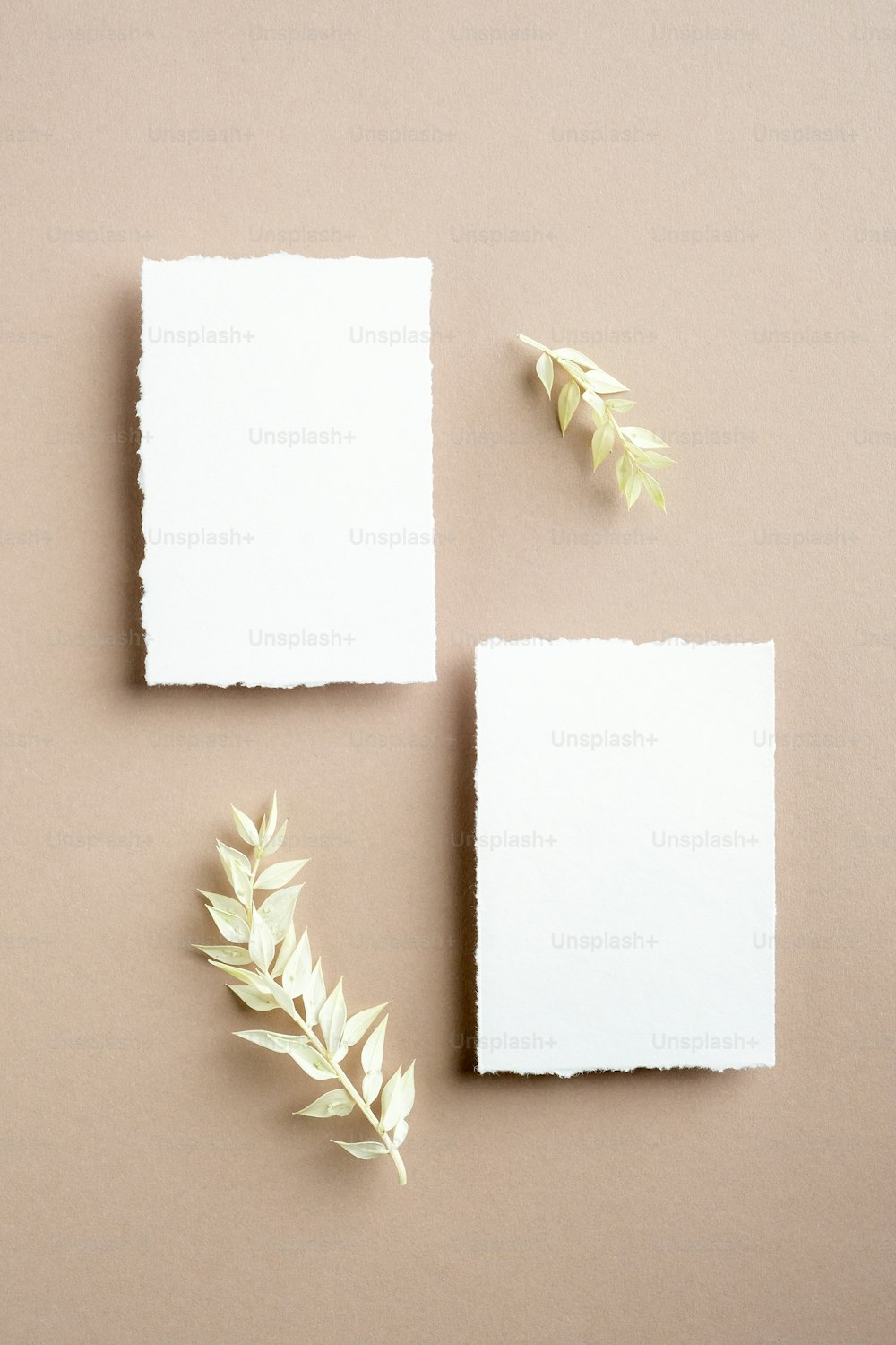 Blank invitation cards. Flat lay, top view. Empty white wedding stationery mockups with dried leaves on pastel beige background.