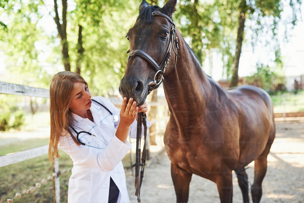 口の中をチェック。昼間、牧場の屋外で馬を診察する女性獣医。