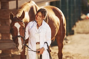 Beautiful sunlight. Female vet examining horse outdoors at the farm at daytime.