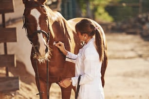 Utilisation d’un stéthoscope. Vétérinaire examinant le cheval à l’extérieur à la ferme pendant la journée.