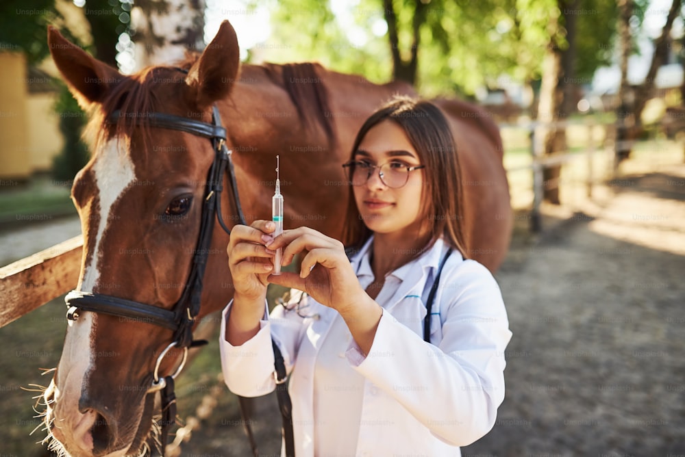 注射器を見る。昼間、牧場の屋外で馬を診察する女性獣医。