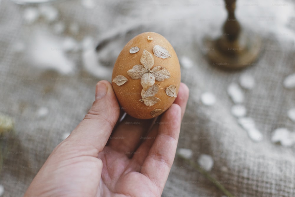 Hand holding Easter egg decorated with dry flower petals on background of rustic linen napkin and cherry bloom. Creative natural eco friendly decor of easter eggs. Happy Easter