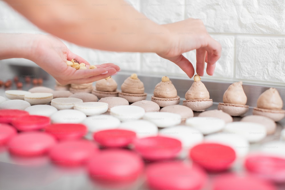 Macarons baking at confectionery shop. Close up of female hands putting hazelnuts on ganache cream on caramel macarons shells on the table.