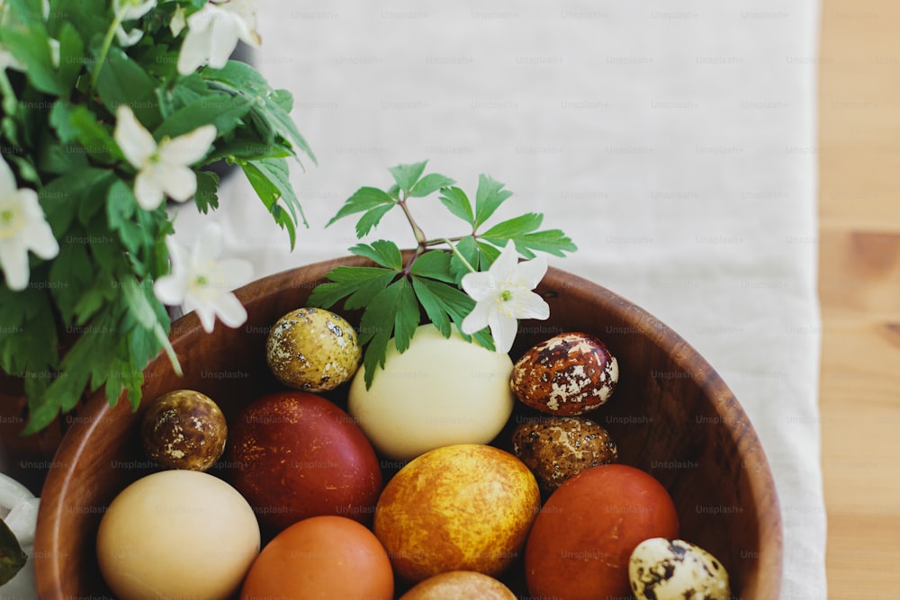 Stylish easter eggs in wooden bowl on rustic table with spring blooming flowers anemones. Space for text. Natural dyed eggs in yellow and red colors. Happy Easter!