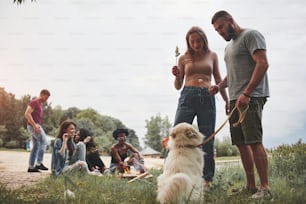Anche il cane vuole assaggiarlo. Un gruppo di persone fa un picnic sulla spiaggia. Gli amici si divertono nel fine settimana.