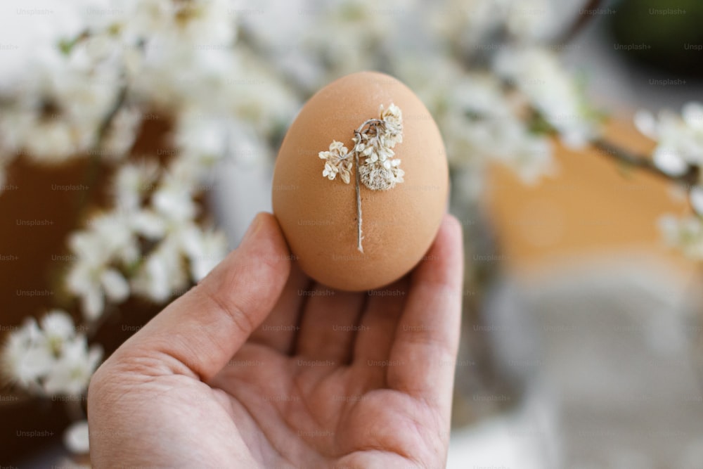 Hand holding Easter egg decorated with dry flower petals on background of rustic linen napkin and cherry bloom. Creative natural eco friendly decor of easter eggs. Happy Easter