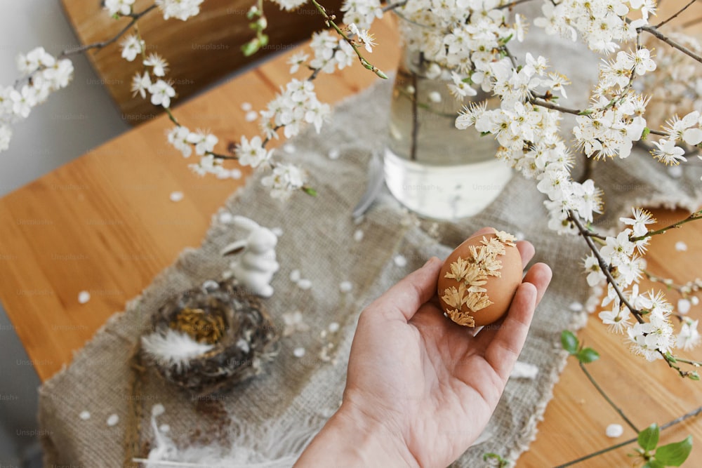 Hand holding Easter egg decorated with dry flower petals on background of rustic table with linen napkin, cherry blossom and bunny. Creative natural eco friendly decor of easter eggs. Happy Easter