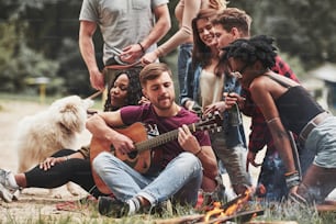 Dog want to party too. Group of people have picnic on the beach. Friends have fun at weekend time.