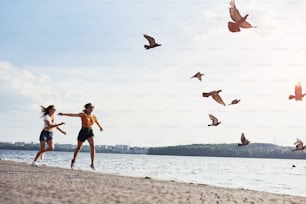 공중에 날아오르는 새들. 두 여자 친구가 화창한 낮에 호수 근처의 해변에서 달리고 재미있게 놀고 있습니다.