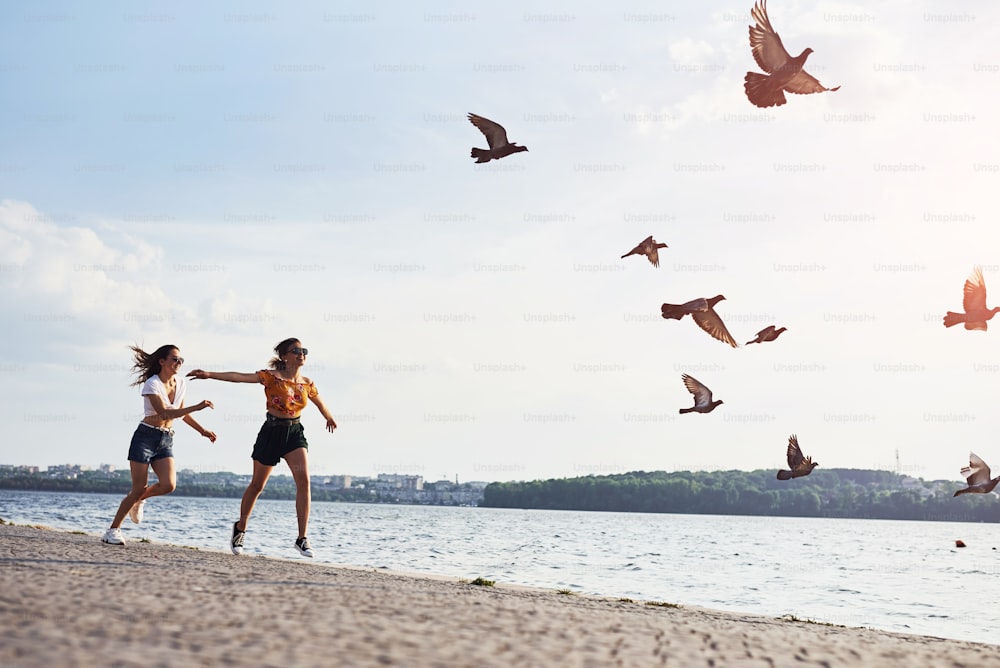 공중에 날아오르는 새들. 두 여자 친구가 화창한 낮에 호수 근처의 해변에서 달리고 재미있게 놀고 있습니다.