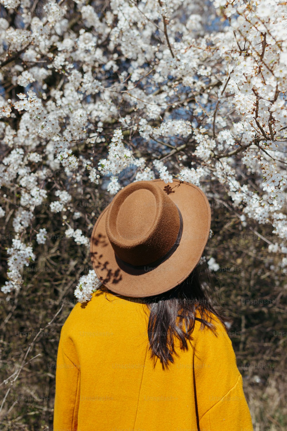 Mujer elegante con sombrero posando sensualmente entre ramas de cerezo en flor en un día soleado de primavera, vista posterior. Momento de calma y tranquilidad. Mujer de moda en chaqueta amarilla abrazando en flores blancas