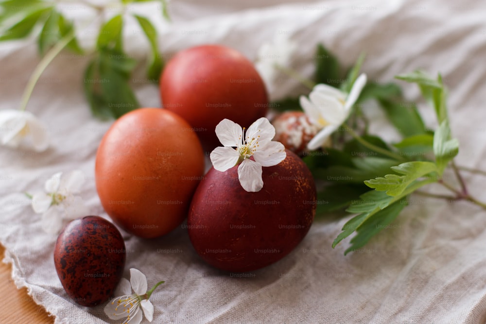イースターおめでとう!木製のテーブルの上の素朴なリネンの布に春の花が咲いたモダンなイースターエッグ。花の咲く灰色の織物に赤い色の天然染めの卵、チェリーとアネモネ。