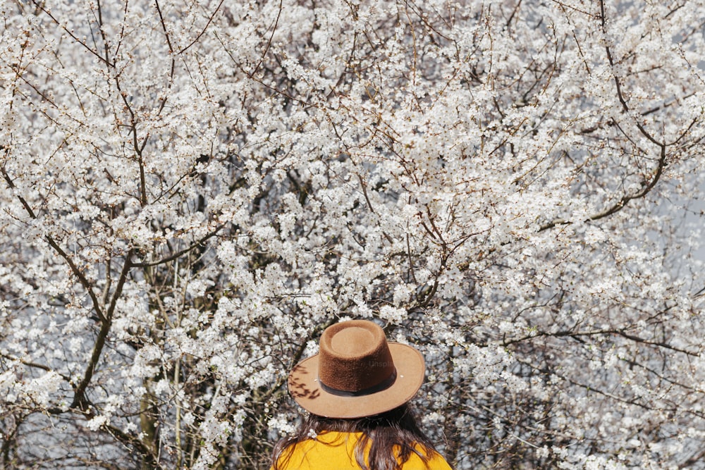 Stylish woman in hat looking at blooming cherry branches in sunny spring day, back view. Calm tranquil moment. Fashionable female in yellow jacket embracing in white flowers, exploring countryside
