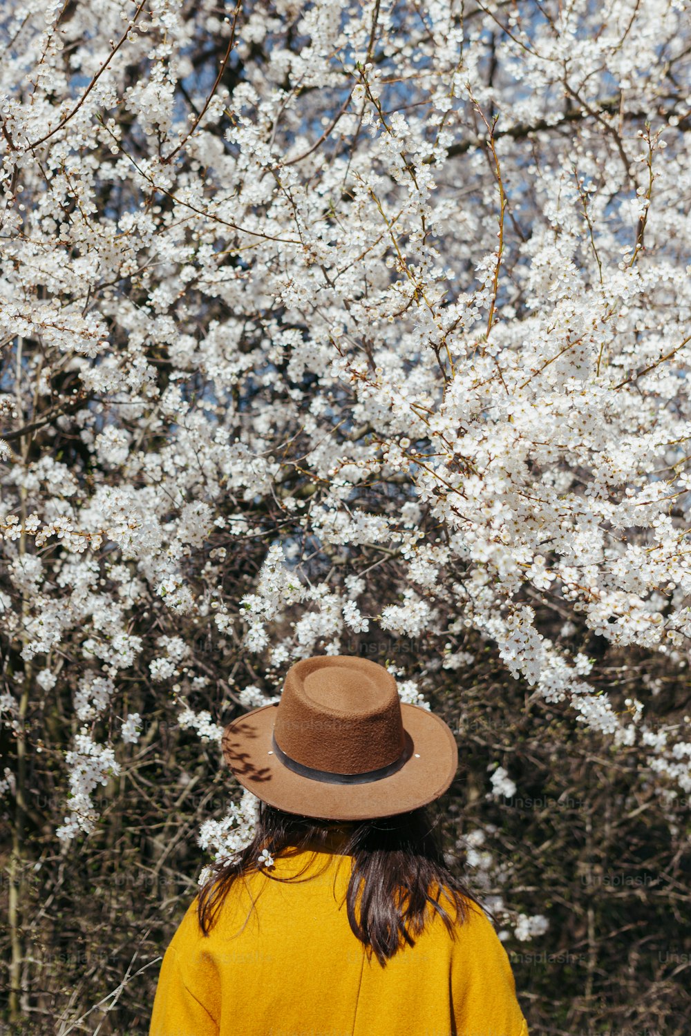 Stilvolle Frau mit Hut, die sinnlich zwischen blühenden Kirschzweigen am sonnigen Frühlingstag posiert, Rückansicht. Ruhiger, ruhiger Moment. Modische Frau in gelber Jacke mit weißen Blumen