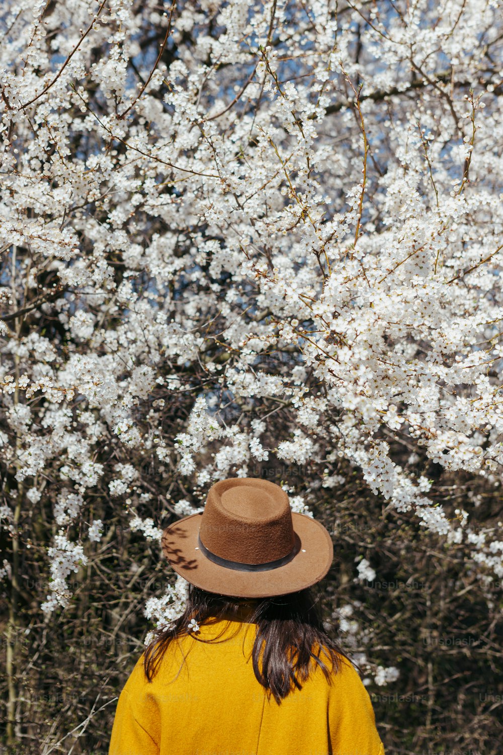 Stylish woman in hat sensually posing among blooming cherry branches in sunny spring day, back view. Calm tranquil moment. Fashionable female in yellow jacket embracing in white flowers