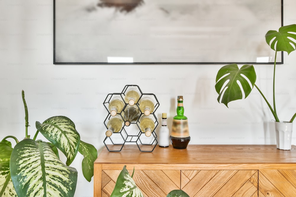 Nightstand with plants and alcohol bottles that decorate the room