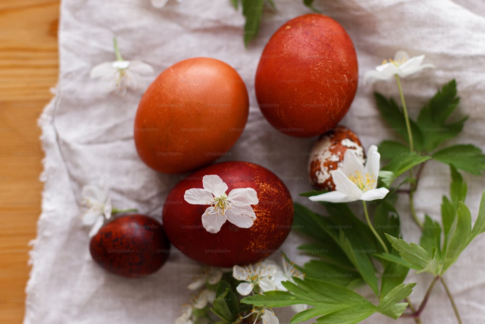 Moderne Ostereier mit Frühlingsblumen auf rustikalem Leinentuch auf Holztisch. Frohe Ostern! Natürlich gefärbte Eier in roter Farbe auf grauem Textil mit blühenden Blüten, Kirsche und Anemone.