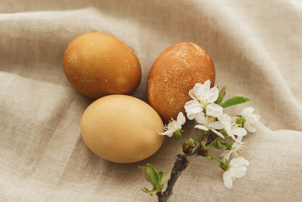 Modern easter eggs with spring flowers on rustic linen cloth background. Happy Easter! Natural dyed eggs in brown color on grey textile with blooming cherry flower. Aesthetic