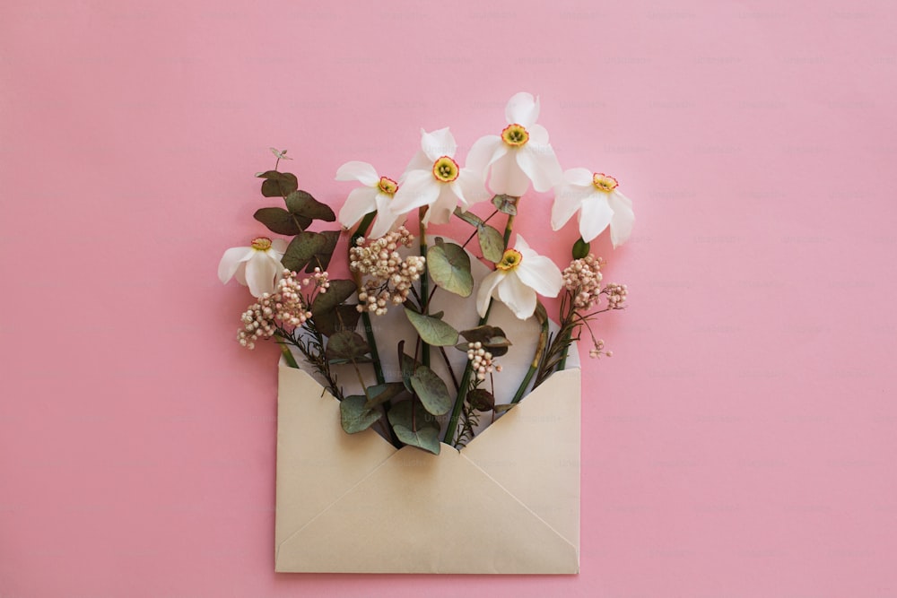 Beautiful white daffodils flowers in envelope on stylish pink background, flat lay. Happy Mothers day or  Women's day. Modern minimal floral greeting card. Happy Easter
