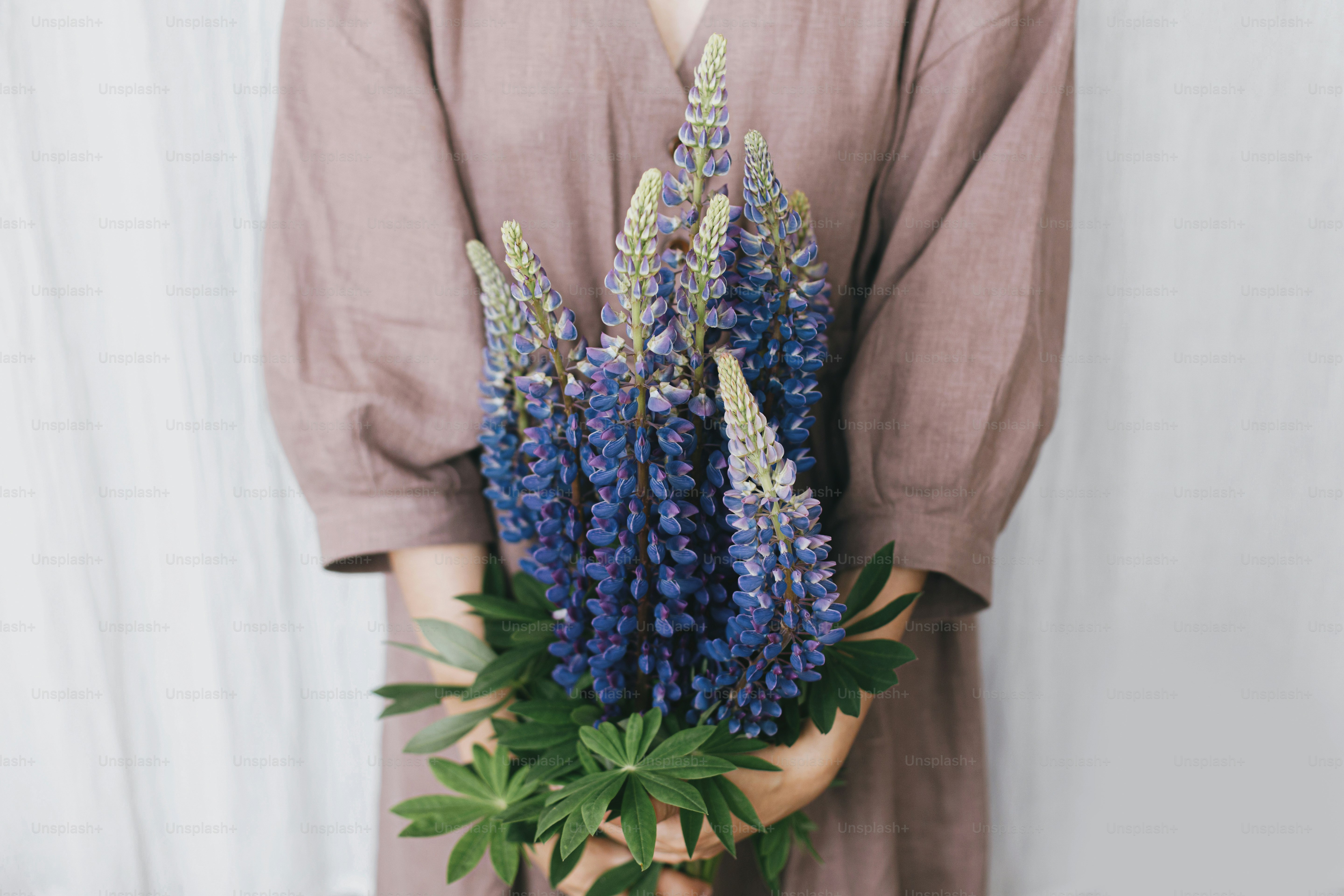 Stylish woman in linen dress holding lupine bouquet in hands closeup at pastel fabric. Simple slow living. Young female in boho rustic dress  with lupine wildflowers. Aesthetics