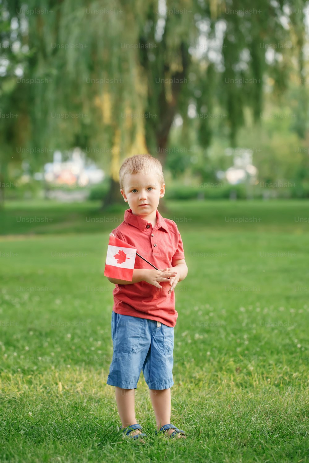 Niño caucásico de pie sobre la hierba verde en el parque exterior y sosteniendo la bandera canadiense ondeando. Niño ciudadano que celebra el Día de Canadá el 1 de julio.
